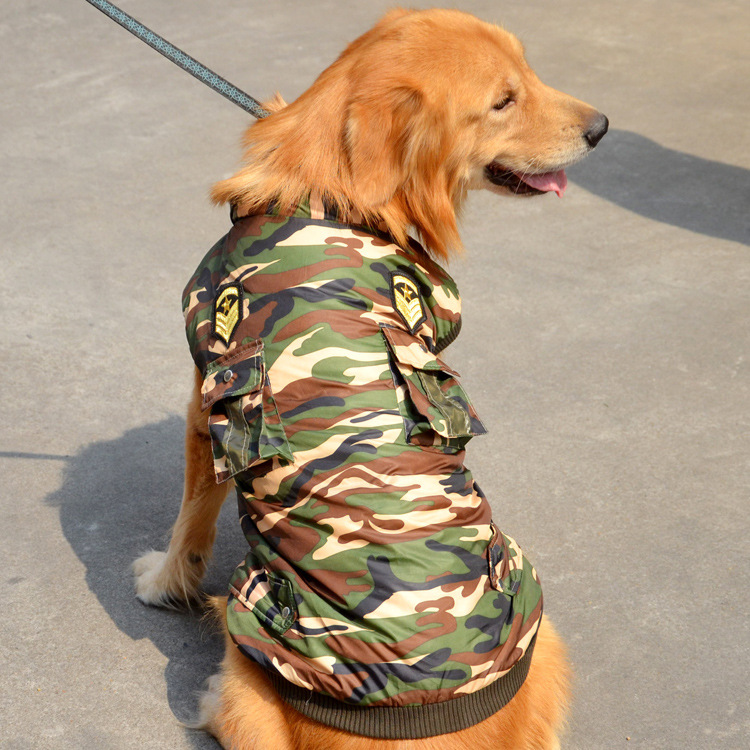Popular Golden Retriever ApparelBuy Cheap Golden Retriever Apparel