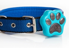 Small GPS pet locator long standby waterproof mini wifi satellite tracking anti-lost dog