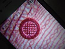 HTB1lYWkKVXXXXamXpXXq6xXFXXXs