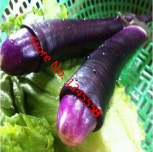 (100 SEEDS) Penis Chill Red Hot Peter Eggplant Seeds Vegetables Seeds