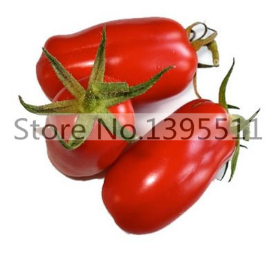200 bag giant big Tomato Seeds San Marzano tomato Heirloom Open Pollinated Tomato Seeds vegetable seeds