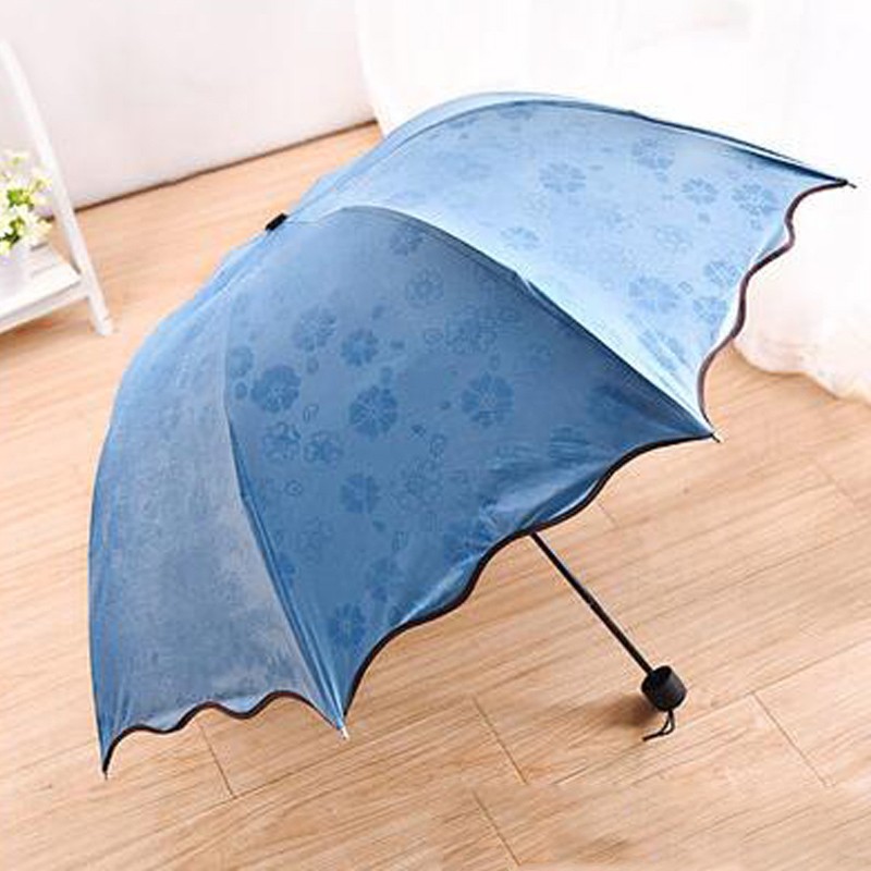 Umbrella-001-04