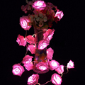 Garland 20pcs set Rose Flower Fairy luces decorativas string lights guirlande lumineuse LED Garden Party Decoration