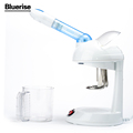Professional Ion Vapour Steamer Family Vaporizzatore Facciale Facial Ozone Steamer Portable Mini Desktop Facial Steamer C001