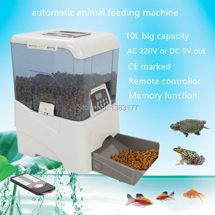 turtle automatic feeder