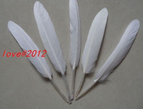 Перья 100 /4/6inches/10/15 4-6inches/10-15cm
Перья 100 /4/6inches/10/15 4-6inches/10-15cm