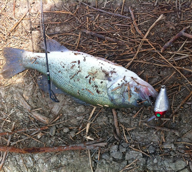 T2G_PNXjdXXXXXXXXX_!!725298527