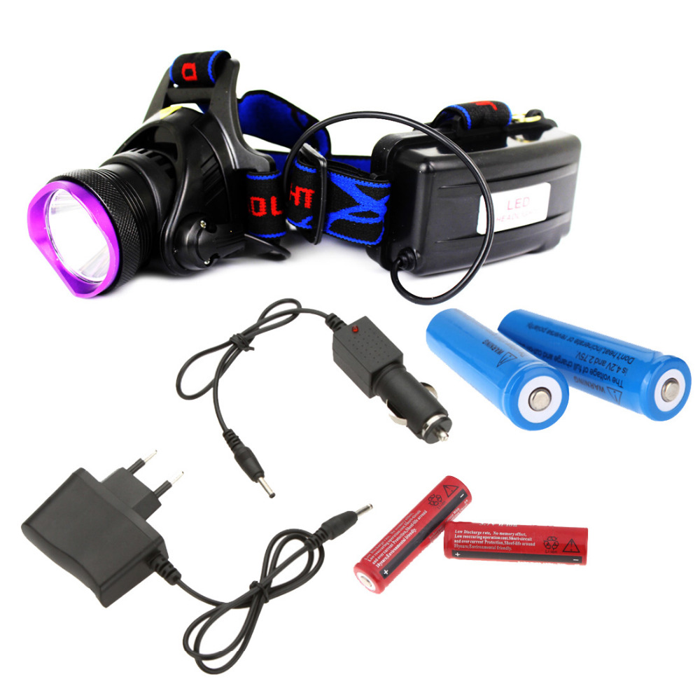 2000 Lumens XM-L XML T6 LED Headlamp Headlight Flashlight Head Lamp Light + 2*18650 battery + charger + Car Charger
