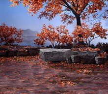 background cloth wedding wedding photography studio photos background landscape of the four seasons of autumn 2438