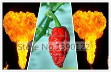 Bonsai vegetable seeds 100pcs seeds Red Bhut Jolokia Seeds Ghost Pepper Naga Jolokia HOT Chilli *900K-1.1M+