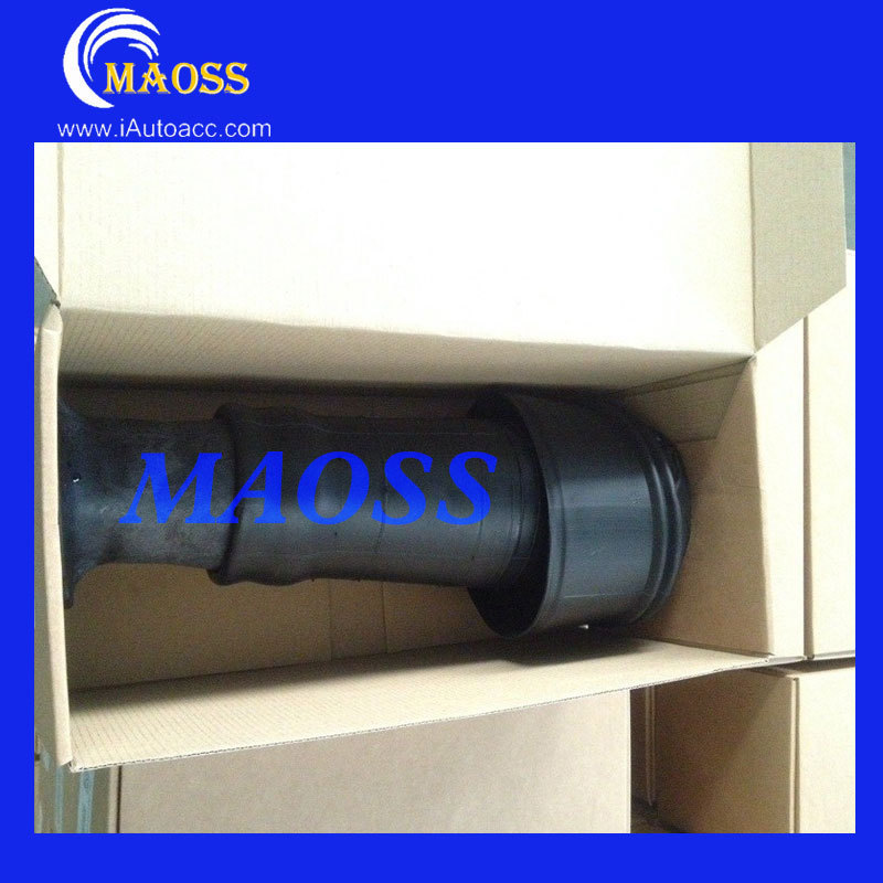 MAOSS-3.jpg