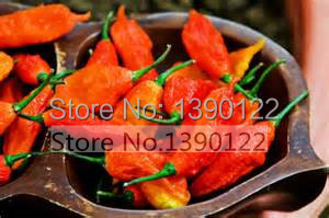 Bonsai vegetable seeds 100pcs seeds Red Bhut Jolokia Seeds Ghost Pepper Naga Jolokia HOT Chilli 900K