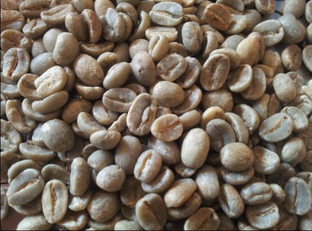 Free shipping 1kg Burton coffee beans shb coffee beans green slimming coffee bean lose weight 1000g