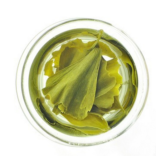 500g Ginkgo Biloba Leaves Tea Chinese Premium Organic Yinxing Wild Green Lower Blood Pressure Loose Herbal