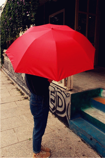  parasol umbrella18.jpg