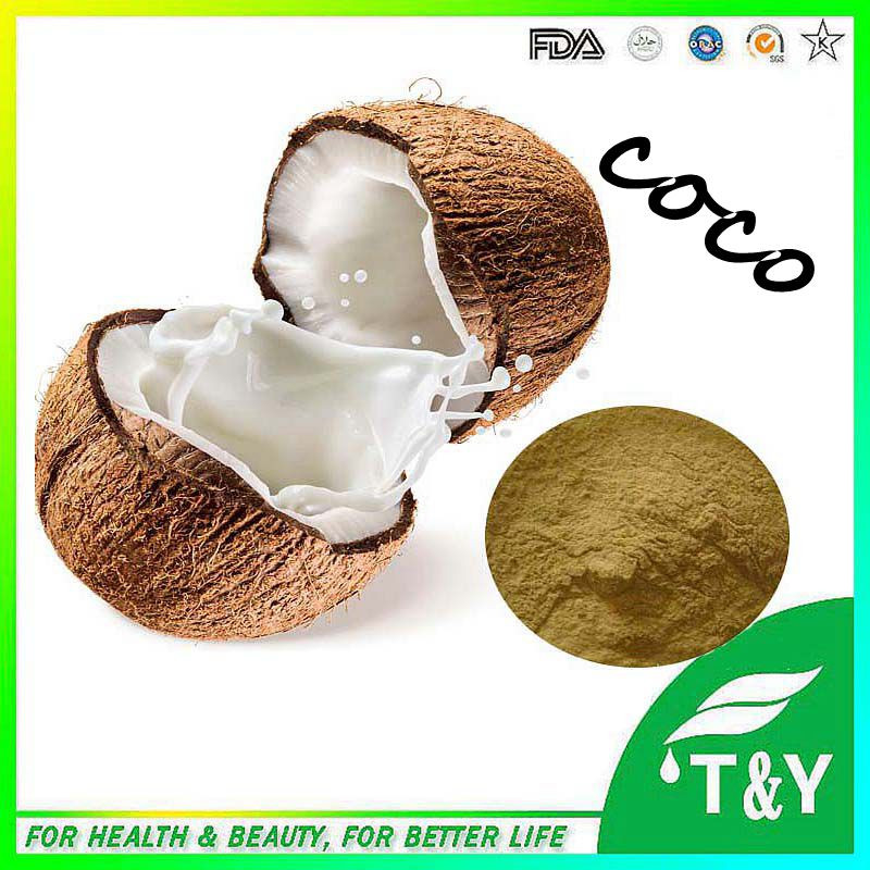 GMP 100% Natural Coconut Extract/ Coconut Extract Powder/ Coconut Extract