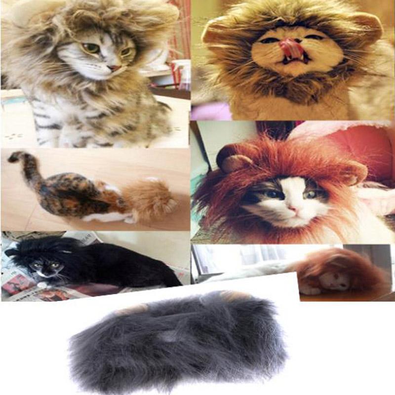 Online Toptan Alım yapın Kedi aslan mane Çin�den Kedi aslan mane