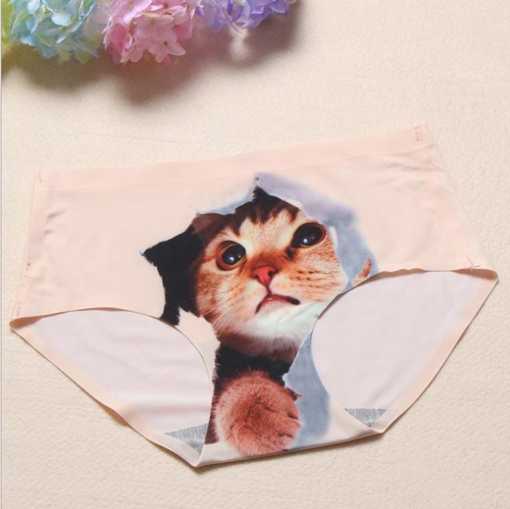 Lot 5pcs Women's Silky Cute Sexy Cat Kitten Pussy Face Panty