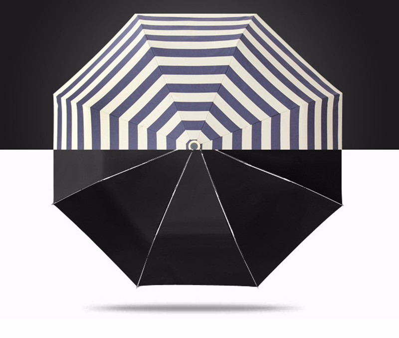 umbrella (12)