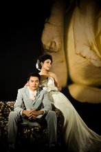 The latest Korean wedding photography studio photography theme background photo background cloth fabric roses Photography