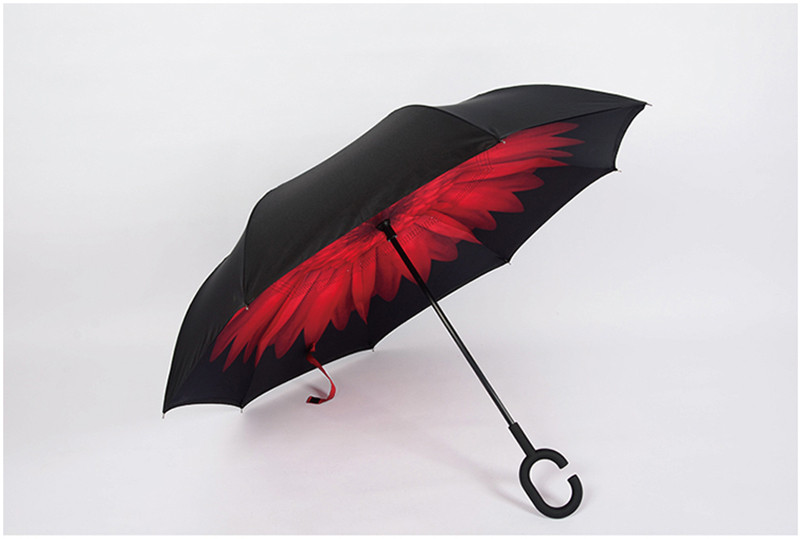 umbrella (20)