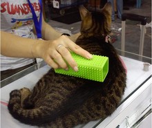Products for cats and dogs pet hair cleanup suction hair tools hair removal brush Easy to clean up animals hair