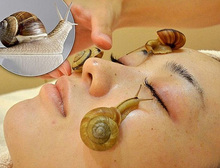 1KG Pure Snail Slime Mucus Extract 1000ml Same As Snail Crawling On The Face Treatment Beauty Salon Equipment
