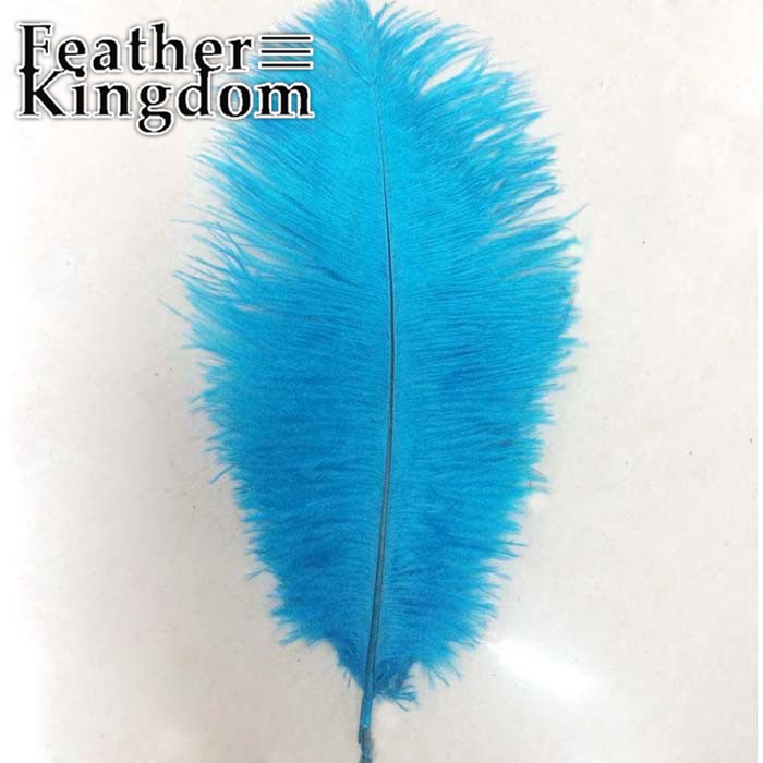 turquoise ostrich feather