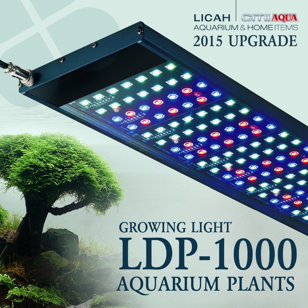 LICAH    LDP-1000  Shpping