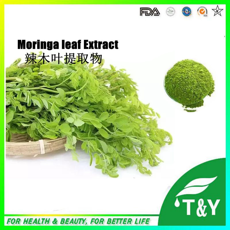 the effectiveness of malunggay extract the effectiveness of malunggay extract