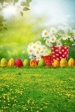5feet 7feet 150cm 215cm Faceplate Sunlight Lawn photography backdrops photography background font b photo b font