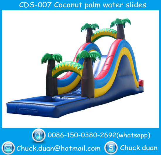 water slides and bouncers