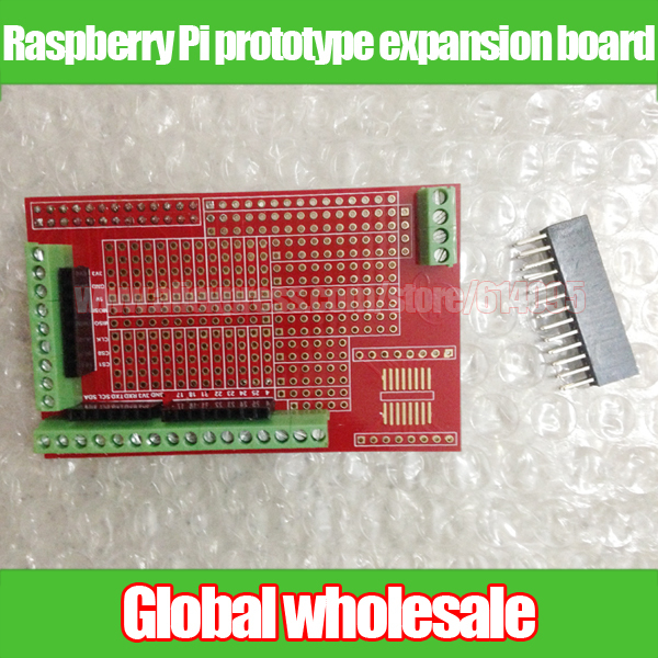   / Raspberry Pi    / GPIO   DIY