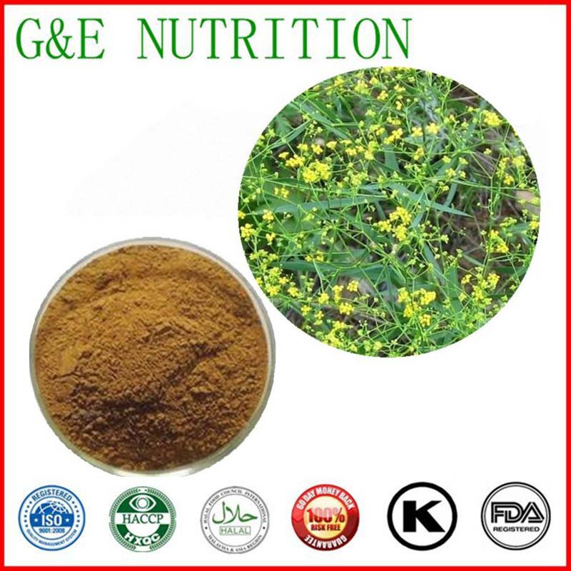 High Quality Bupleurum Root Extract / chai hu extracts powder  10:1 700g