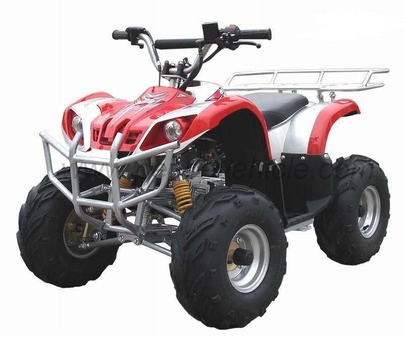 50cc-EPA-DOT-ATV-ATV50-12-.jpg