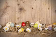 215cm*150cm easter photography backdrops Hay wood walls eggs studio photo Easter Day ZJ