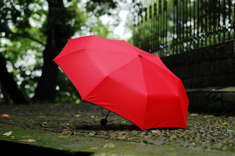 umbrella Paraguas parapluie16.jpg