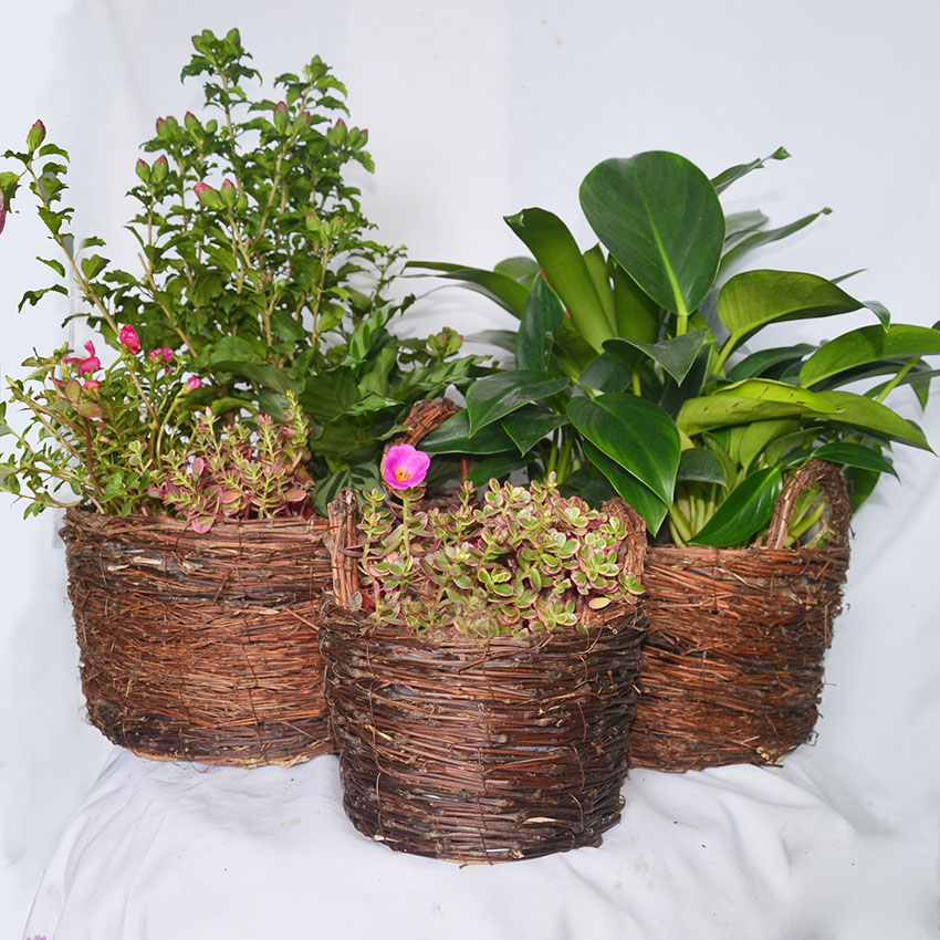 Online Buy Wholesale large decorative flower pots from China large decorative flower pots