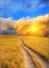 200cm 300cm Vinyl Custom Photography Backdrops Props font b photo b font font b Studio b