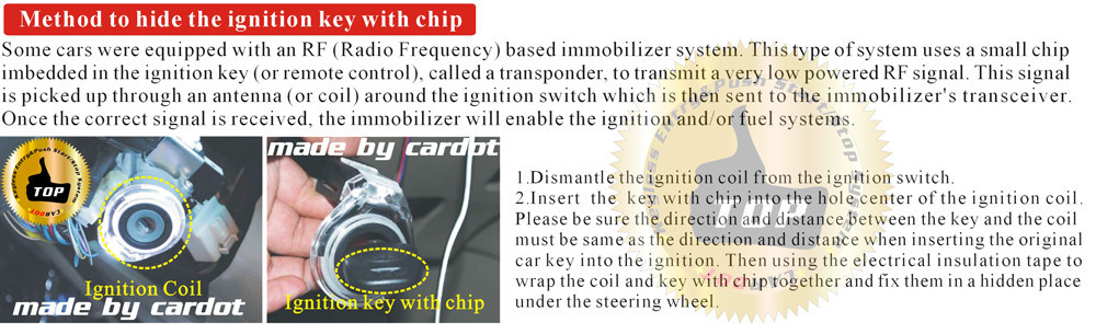 release chip immobilizer