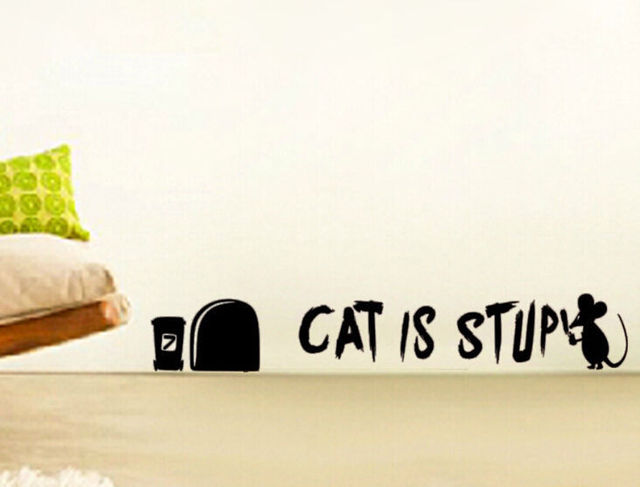 Mouse-graffiti-writer-divertente-adesivo-gatto-%C3%A8-stupido-adesivi-instrumen-art-decor-citazione-della-decalcomania-murale.jpg_640x640.jpg