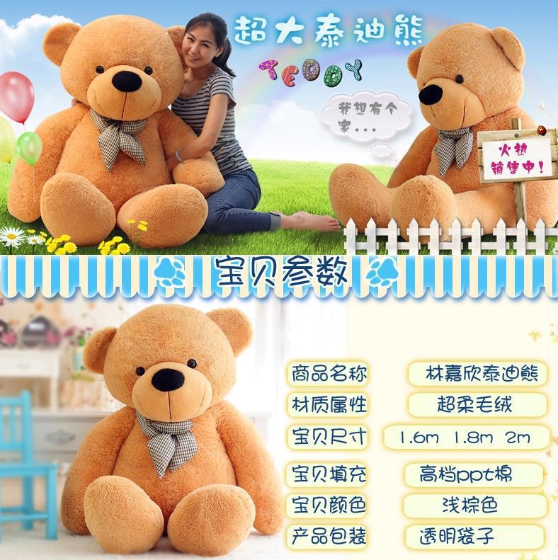 giant teddy 200cm