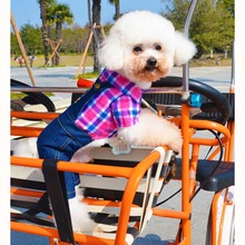 Lattice Denim Bib Pet Dog Clothes and Four Teddy Small Dogs Free Shipping