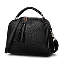 Edgy Chic Woven Pattern Women Handbag Trendy Simple Fringes Ornament Ladylike Ladies Shoulder Bag All match