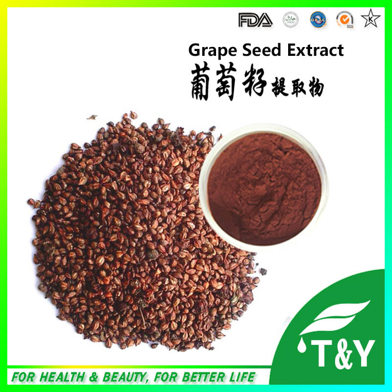 100% Natural Grape Seed Extract wholesale, Pure OPC Grape Seed powder, Organic Grape seed extract 400g/lot