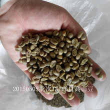 s s cafe 1kg bag 2015 YunNan arbica 100 13 16 new crops coffee green bean