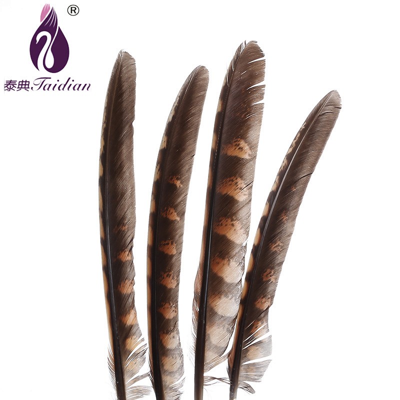 Pheasant Feathers Natural Feathers Cheap FEathers Decoractive Feathers Wedding Feathers Long FEathers