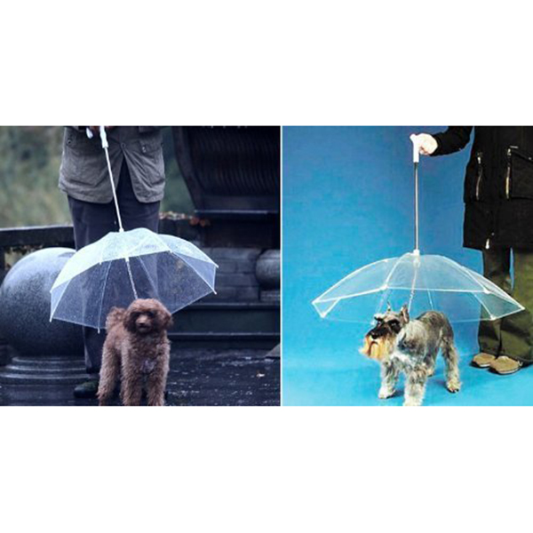 Online Kaufen Großhandel regenschirm hund aus China regenschirm hund