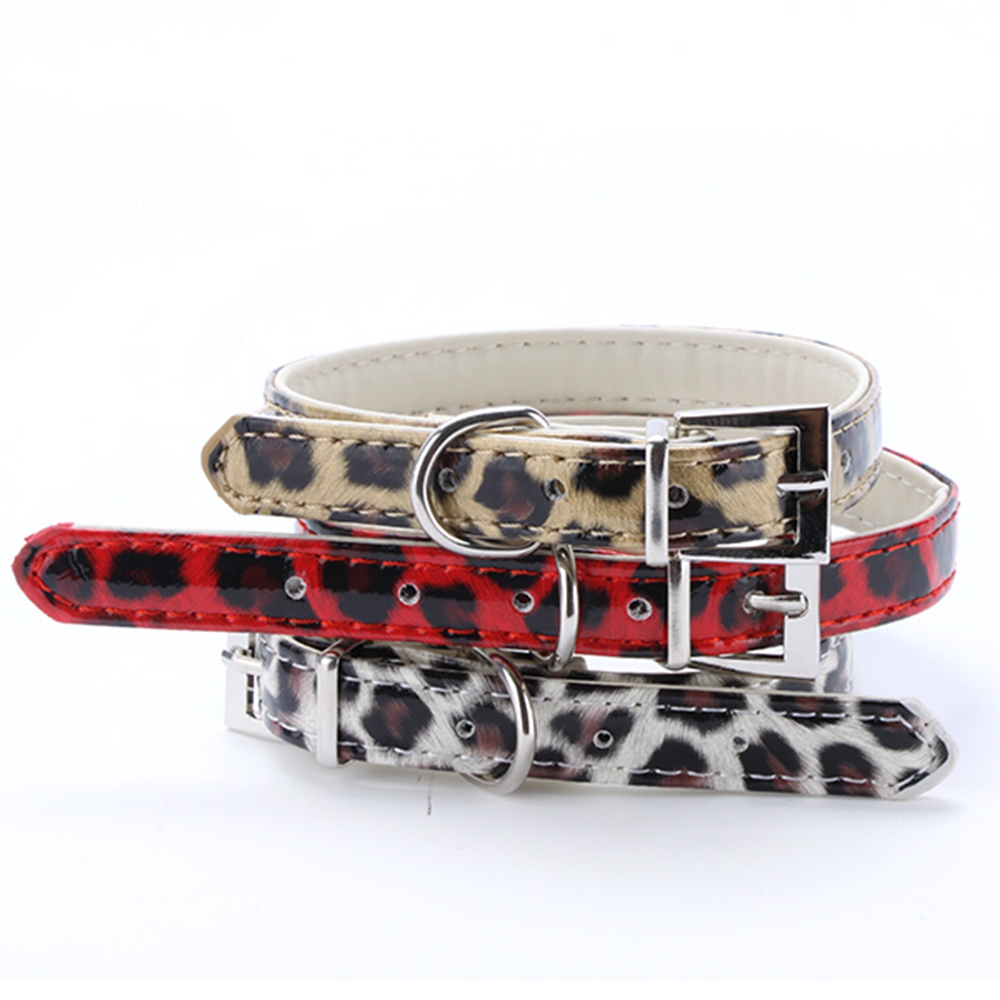 Hot dog collars coupon code