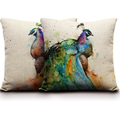 Wholesale Watercolor Peacock Printing Cushions For Sofas 45 45cm Birds Cushions Home Decor Linen Chair Cushions